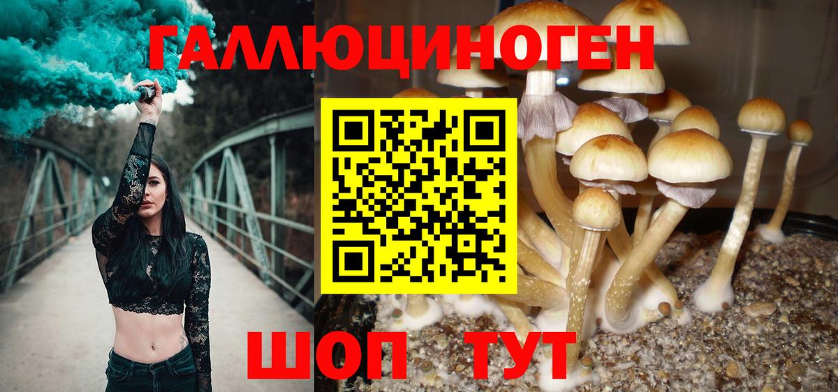 Касимов  как найти наркотики  Псилоцибиновые грибы ЛСД  Вход с VPN  Галлюциногенные грибы мухоморы 